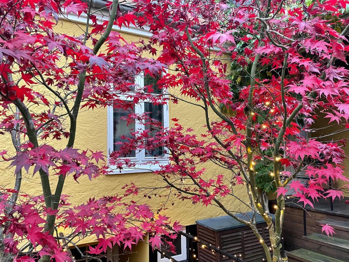 Villa A Hotel オーデンセ エクステリア 写真